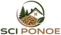 logo scip